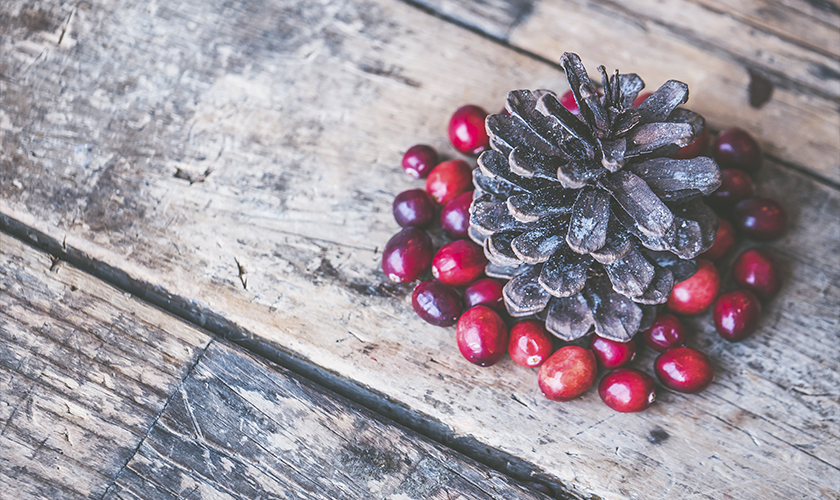puente diciembre cabecera