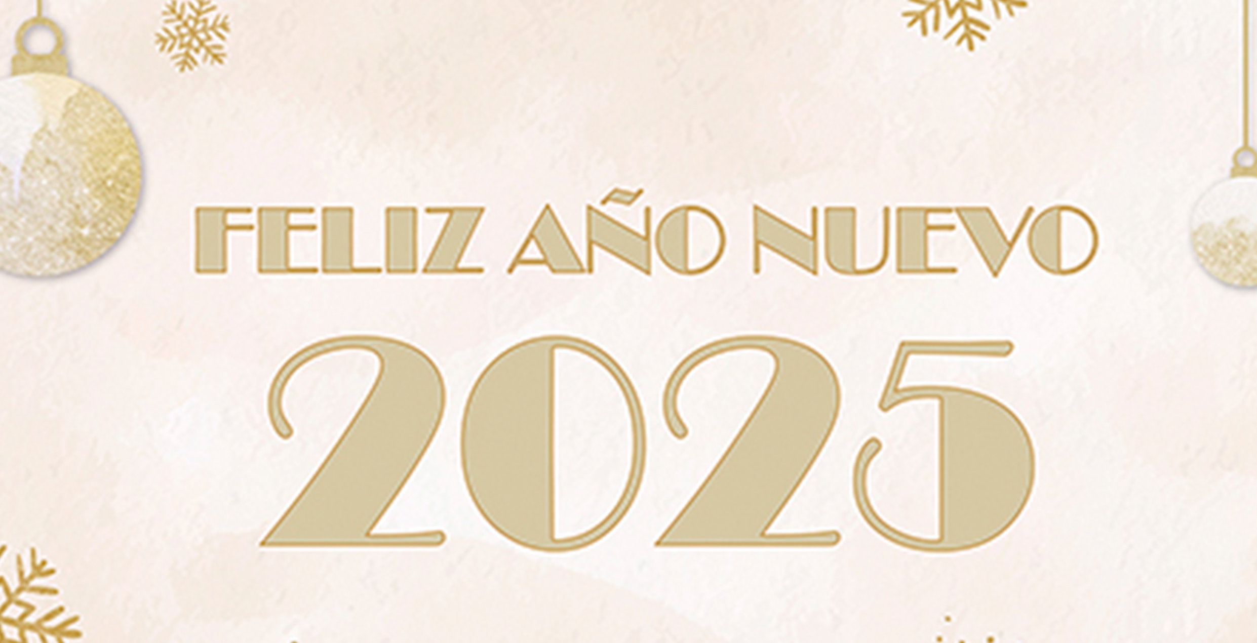 año_nuevo_2025_mondragón